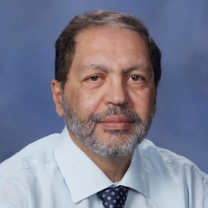 Hisham A. Nasr-El-Din