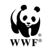 Wwf India Logo